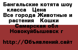 Бангальские котята шоу класса › Цена ­ 25 000 - Все города Животные и растения » Кошки   . Самарская обл.,Новокуйбышевск г.